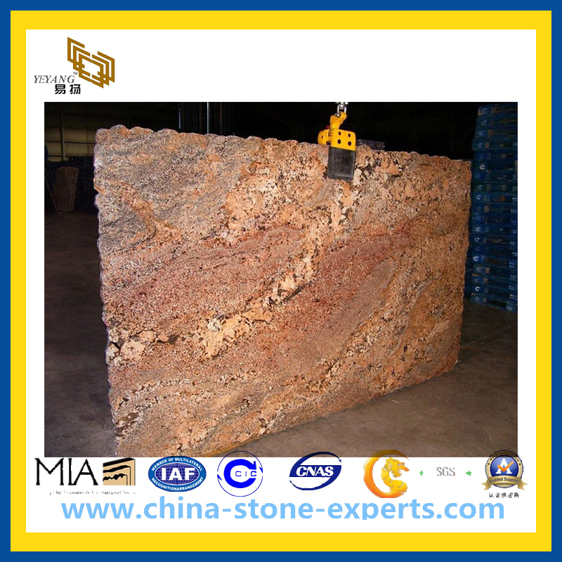 Four Season Red Colorful Spot Granite Slab for Countertop/Vanity Top/Tile (YQZ-GS)