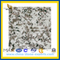 Polished Cheap G439 Big White Flower Granite Slab for Countertop (YQZ-GS1006)