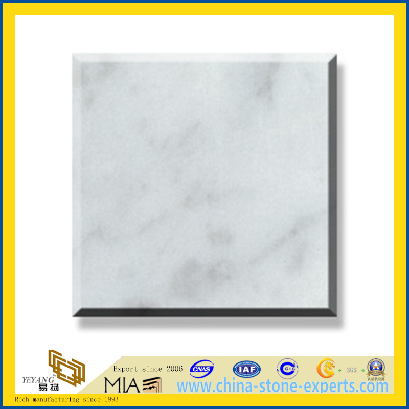 Polished Natural Stone Bianco Carrara Marble Slabs for Wall/Flooring (YQC)