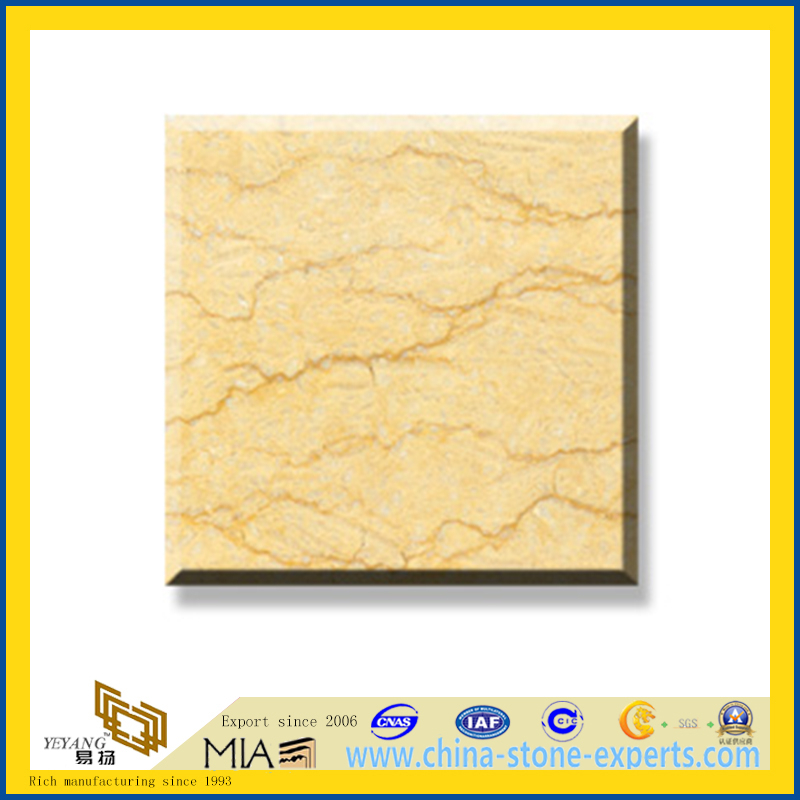 Polished Natural Stone Silvia Marble Slabs for Wall/Flooring (YQC)