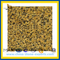 Chrysanthemum Yellow Crystal Granite Slab for Countertop (YQZ-GS1010)
