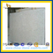 Hot Sale Granite Tongan White G655 (YQA-GS1019)