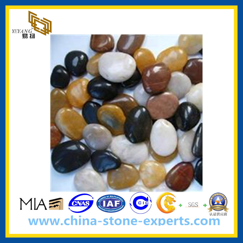 Colorful Cobblestone Pebble Stone For Landscape Paving Yqg Ls1004