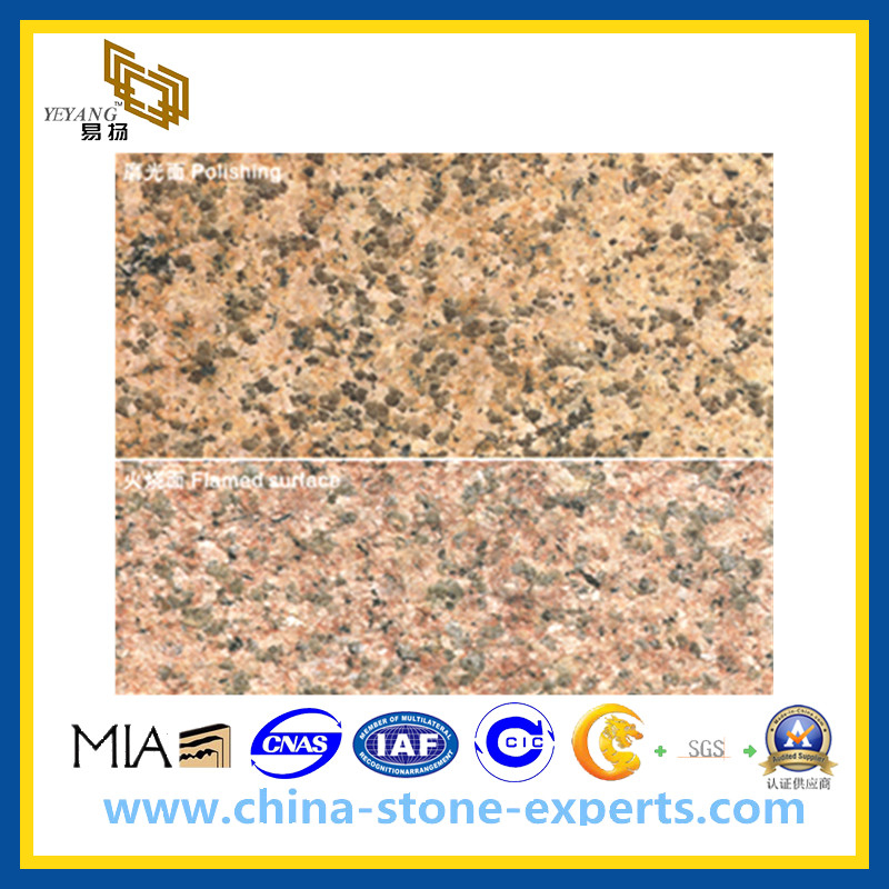 Yellow Putian Rust Granite Stone for Fliooring and Walls(YQG-GS1015)