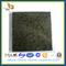 Chengde Green Granite Stone Tile for Floor or Wall(YQG-GT1028)
