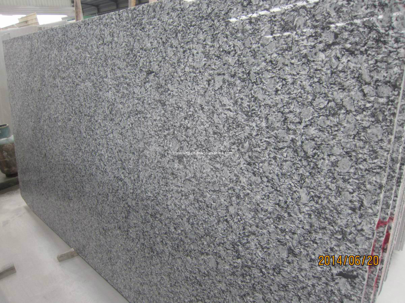 Spray White Granite Slabs for Projects, Countertops (Oyster White)
