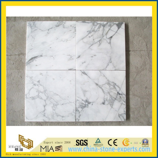 Arabescato White Stone Marble Flooring Tile (YYT)