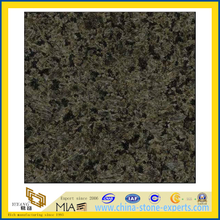 Polished Chengde Green Granite for Countertops / Vanity Top (YQZ-G1003)