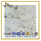 Kashmir White Granite Countertop for Kitchen or Bathroom(YQC-GC1007)