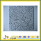 Polished G640 Granite Stone Tile for Kitchen, Flooring, Paving(YQC)