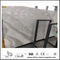  Fancy New Polished Arabescato Venato White Marble for Floor Tiles (YQW-MSA0621009)