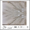Arabescato Venato | Arabescato Venato White Marble for Kitchen Floor Tiles (YQW-MSA2102)
