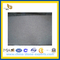China Pearl White/Alb Argint Granite Slab for Countertops (YQZ-GS)