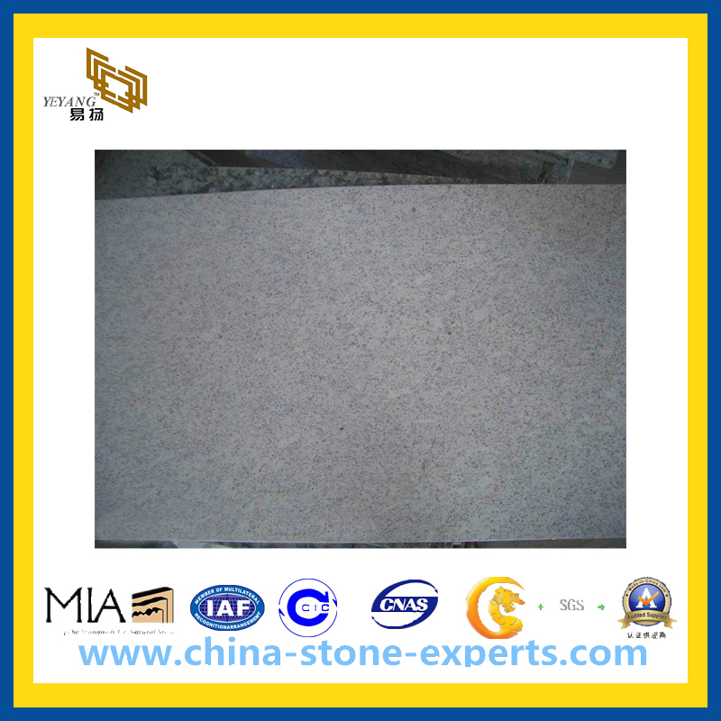China Pearl White/Alb Argint Granite Slab for Countertops (YQZ-GS)