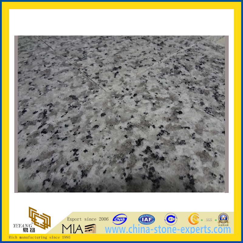 Cheap White Granite Polished Stone Tile for Flooring(YQG-GT1164)