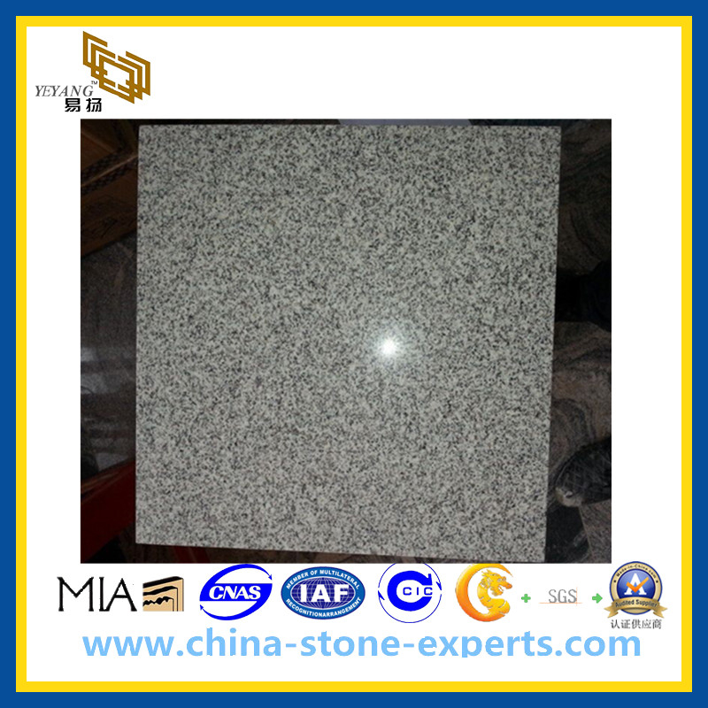 G603 Granite Stone Tiles for Wall, Flooring(YQG-GT1030)