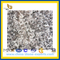 White Haicang Granite for Flooring $ Countertop G623 (YQG-GT1007)