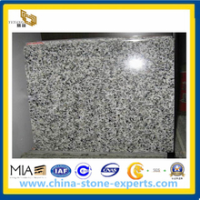 Granit natursteinfliesen (YQA-GT1039)