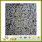 China Bala White Rose White Granite Tile for Floor & Wall(YQG-GT1003)