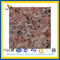 Polished Red Granite Stone Slab (YQZ-GS1020)