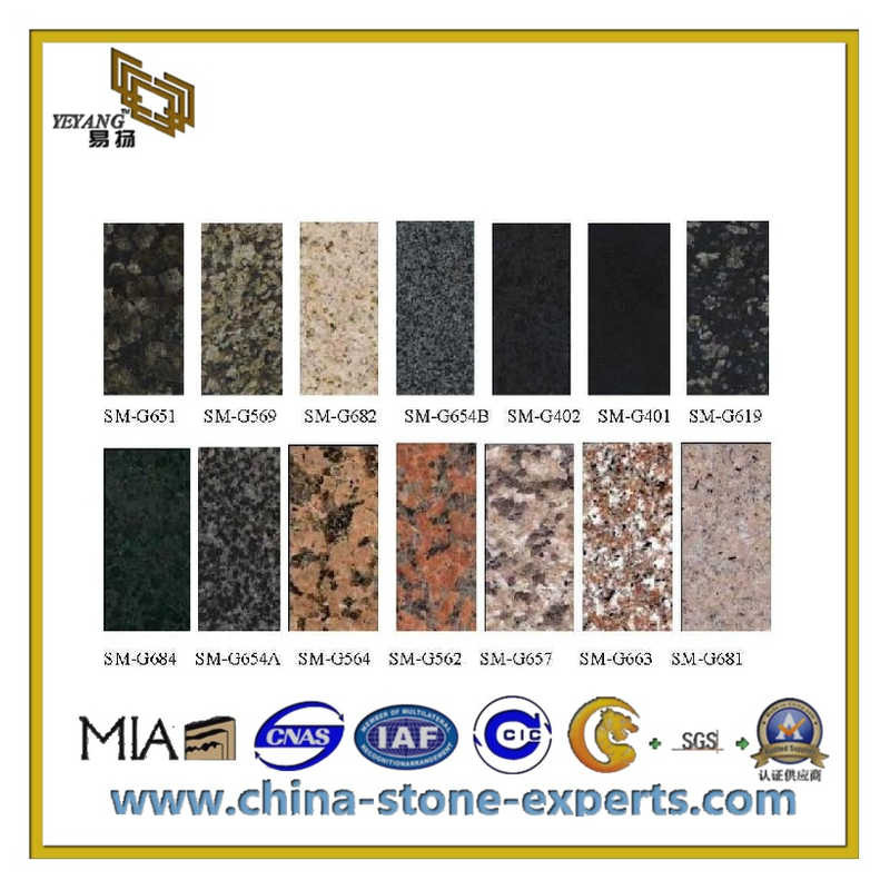 Granite & Marble Stone Floor Tile / Flooring Tile (YQC-GT1014)