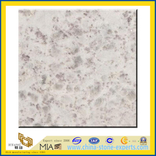 Polished Pearl White Slabs for Countertops (YQZ-G1046)