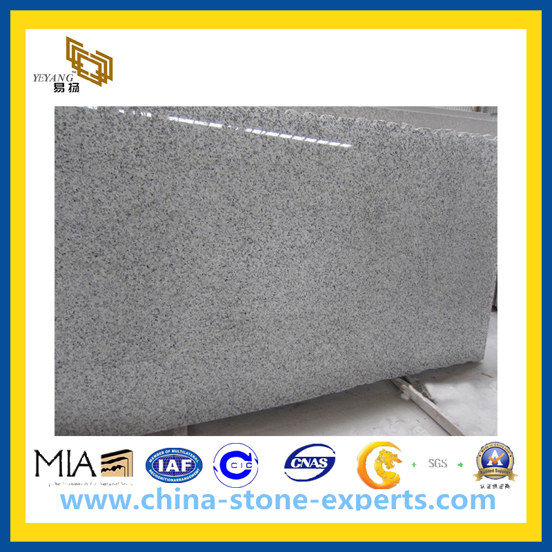 Polished Cheap G439 Big White Flower Granite Slab for Countertop (YQZ-GS1006)