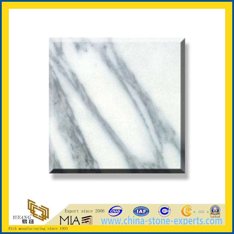 Polished Natural Stone Arabescato Marble Slabs for Wall&amp;Flooring (YQC)