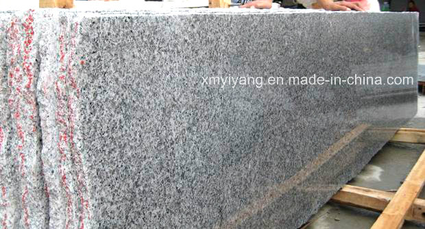 G623 China Bianco Sardo Granite Countertop for Kitchen, Hospitality (YY -GC005)