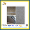 Outdoor Rusty Yellow Granite Tile for Wall & Stair (YQZ-GS)