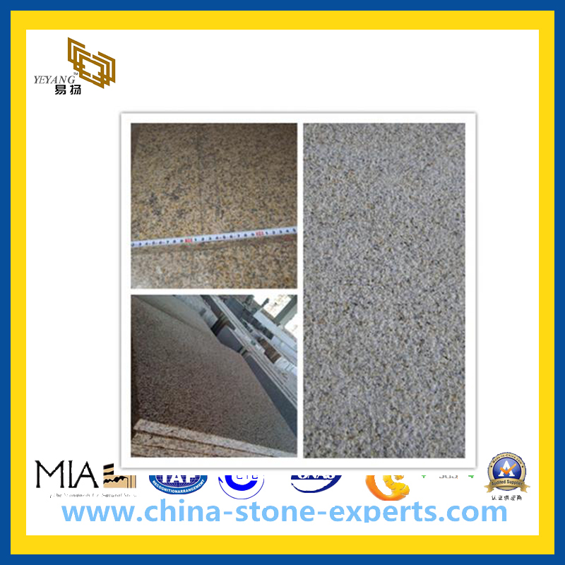 Outdoor Rusty Yellow Granite Tile for Wall & Stair (YQZ-GS)