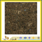 Popular Color Labrador Antique Granite for Tile(YQC)