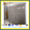 Slab Leopard Skin Granite for Countertop, Wall (YQA-GS1020)