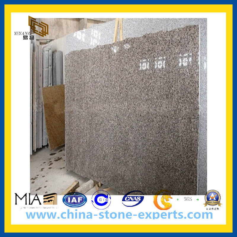 Slab Leopard Skin Granite for Countertop, Wall (YQA-GS1020)