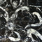 Precious High Polished Sea Shell Black Fossil Marble Floor Tile (YQZ-MT1007