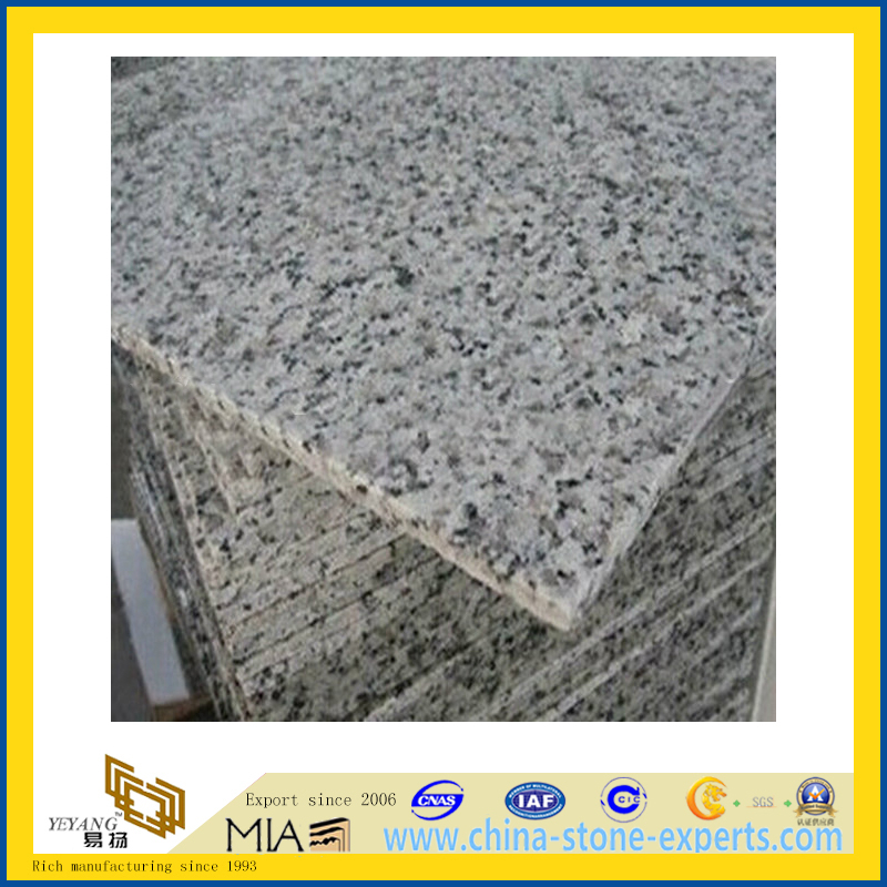 Natural Stone Cheap Granite G439 (YQA-GT1006)