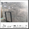 Low Price Polished Vermont Grey Marble for Wall Backgrounds & Floor Tiles (YQW-MS0621005）