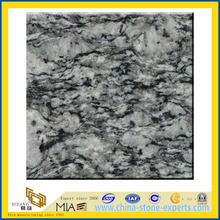 Spray White Granite Slabs for Countertops (YQZ-G1048)