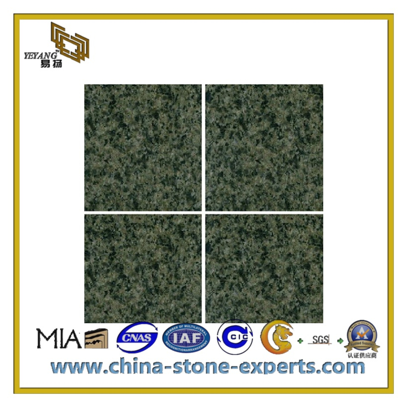 Popular Polished Miyi Green Granite Tile(YQC-GT1004)