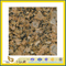 Natural Granite Giallo Fiorito Granite for Tile(YQC)
