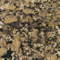 Golden Autumn Granite Kitchen Countertop (YQZ-GC1022)