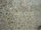Yellow Butterfly Beige Granite Slab （YQZ-GS1023）