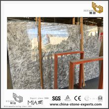 New Alpinus White Marble for Wall Backgrounds & Floor Tiles（YQN-091301）