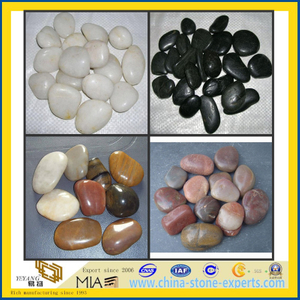 Cobble Stones and River Stones Pebble Stone for Decoration (YYL)