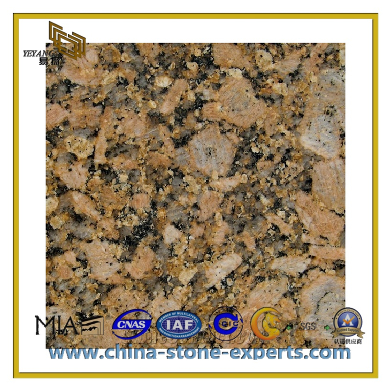 Giallo Veneziano Granite Countertop for Kitchen or Bathroom(YQC-GC1004)
