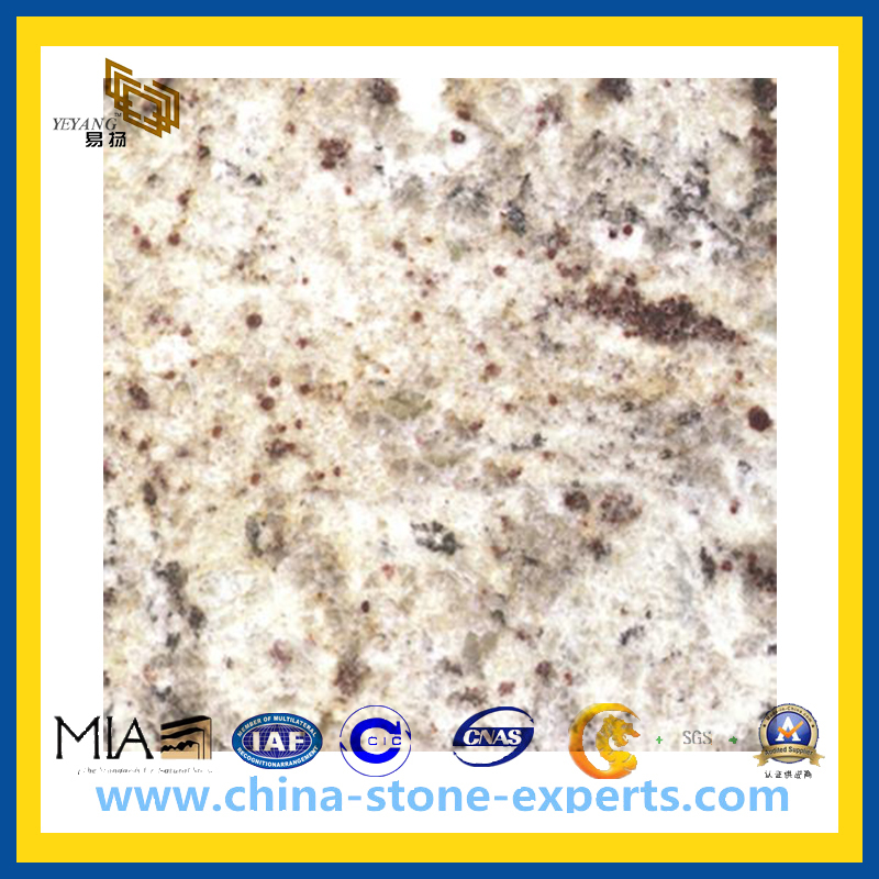 Giallo Ornamentale Granite Slabs for Countertop and Vanity Top (YQG-GS1008)