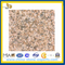 Chinese Granite Zhangpu Rust Granite Slabs for Flooring &Countertop(YQG-GS1013)