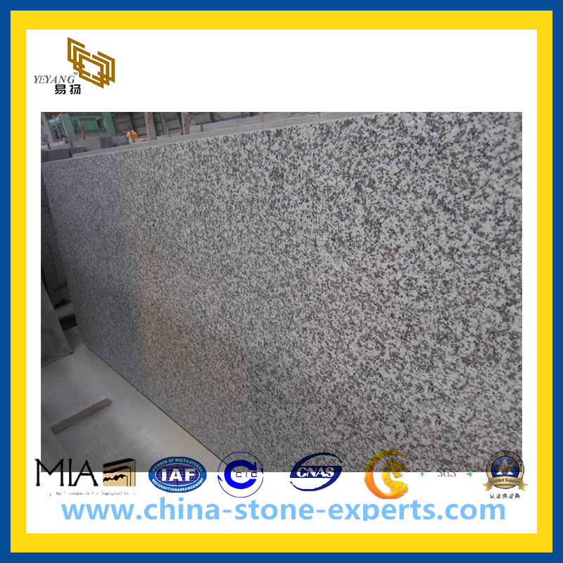 Polished Cheap G439 Big White Flower Granite Slab for Countertop (YQZ-GS1006)