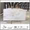 Wolesale New Polished Arabescato Venato White Marble Slabs for Bathroom Wall Tiles (YQW-MSA06051903)