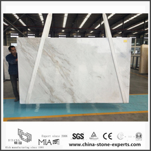 New Polished Arabescato Venato White Marble Slabs for Bathroom Tiles (YQW-MSA061003)